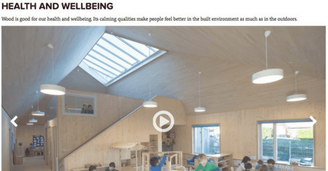 Wood for Good video health and wellbeing benefits of wood